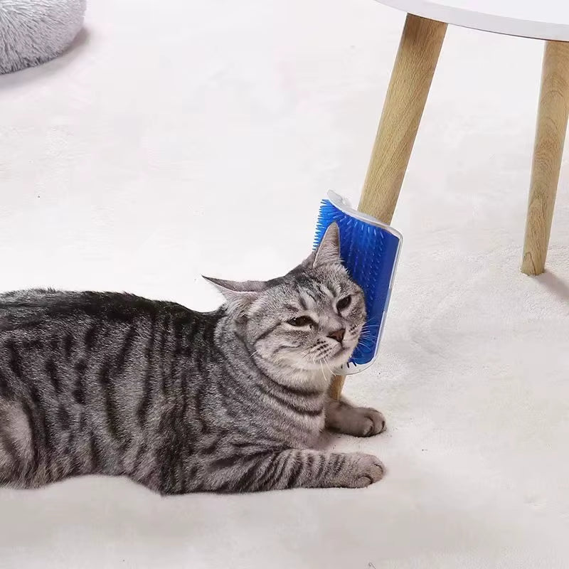 Cat Massage & Grooming Brush
