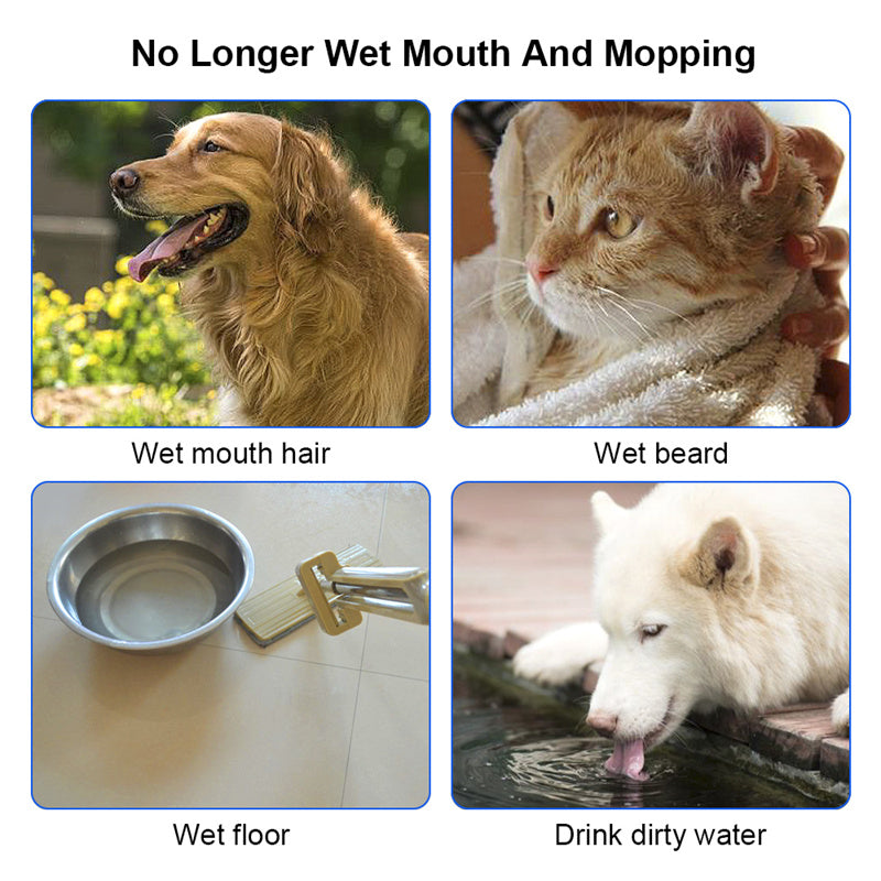 Anti-Spill Floating Pet Water Bowl – Slow Feeder for Cats & Dogs