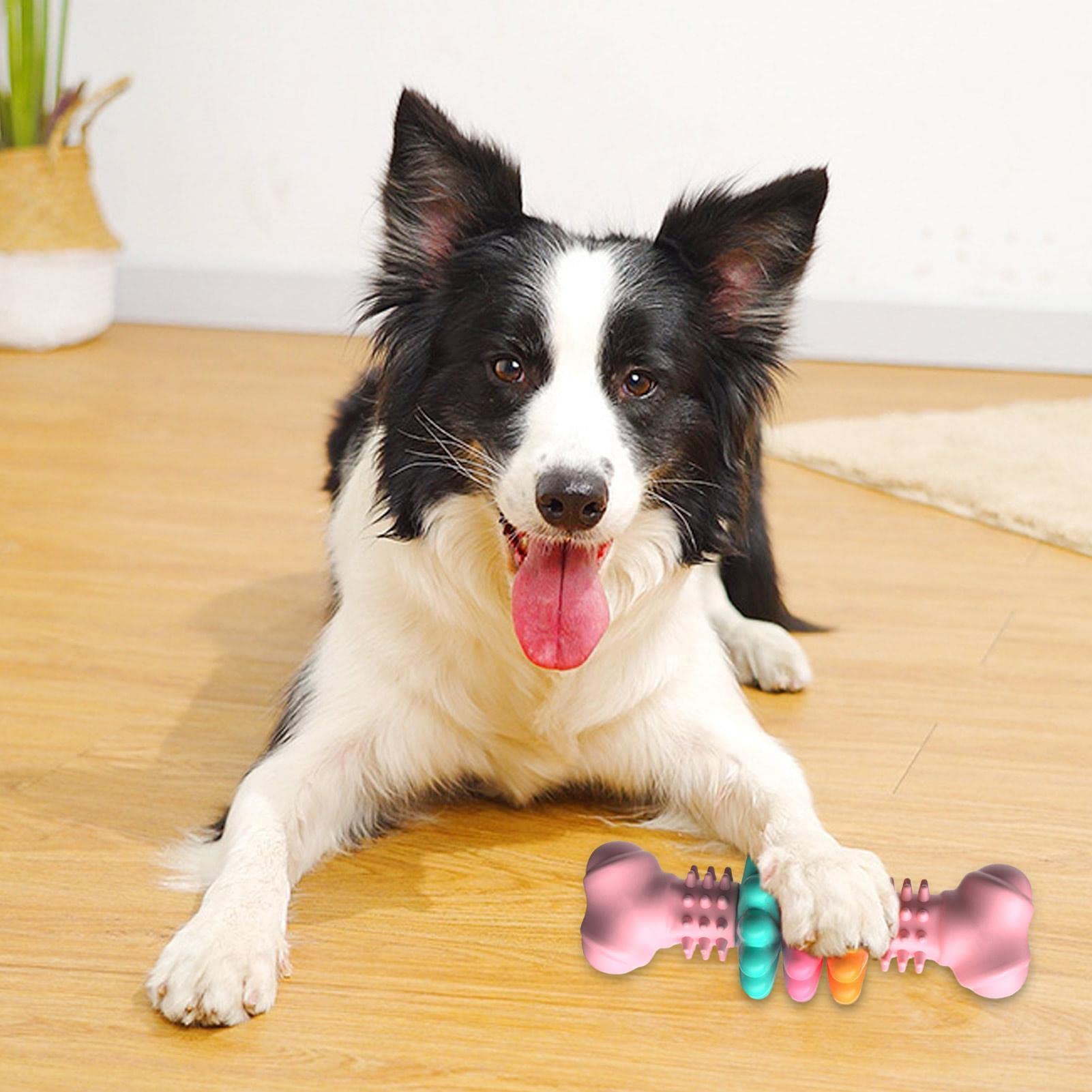  Indestructible Dog Chew Bone Toy