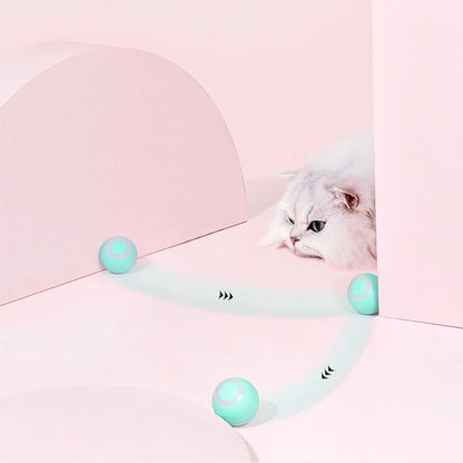 Remote Control Cat Toy Car – USB Rechargeable, Automatic Interactive Chasing Toy for Cats