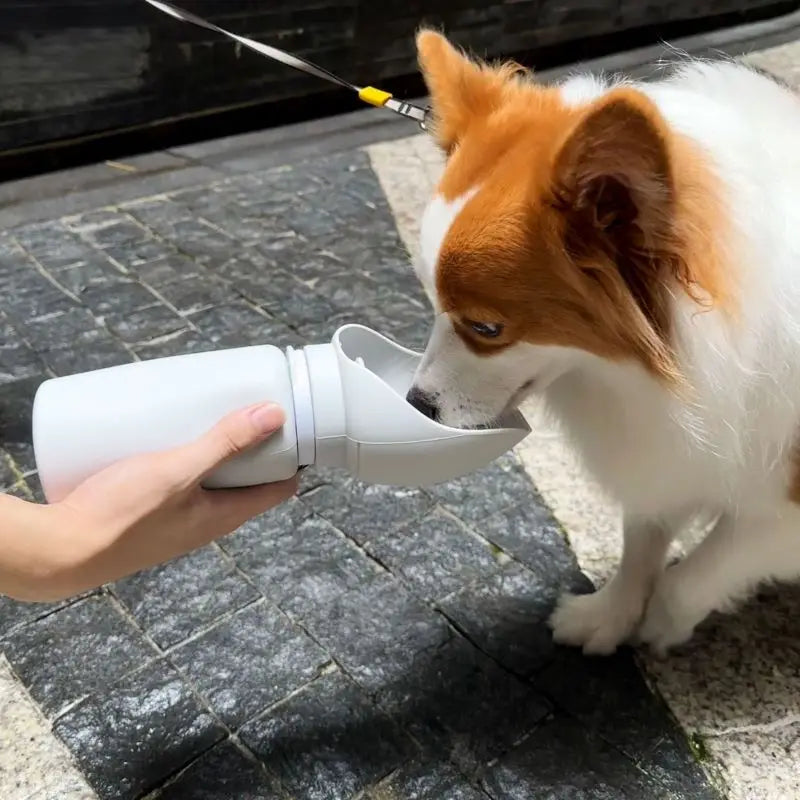 Portable Pet Water Bottle – 550ml