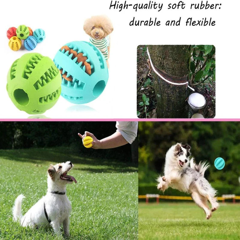 Dog Toy Ball – Interactive Chew & Treat Feeder